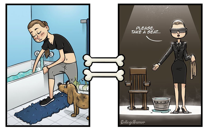 How Dogs See The World Differently