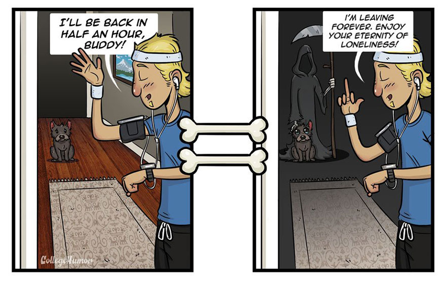 How Dogs See The World Differently