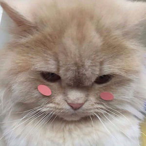 elifdagtas359 avatar