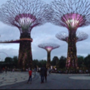 nehasivakumar-nwa avatar