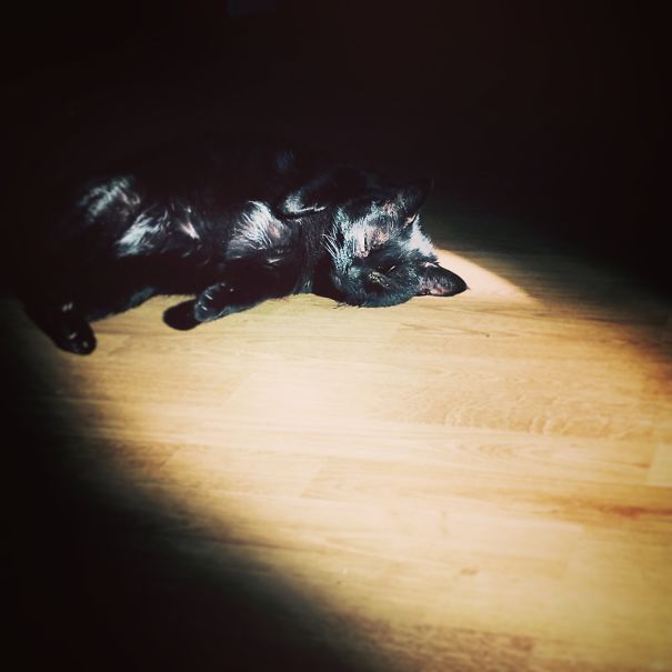 She Adores The Morning Sun