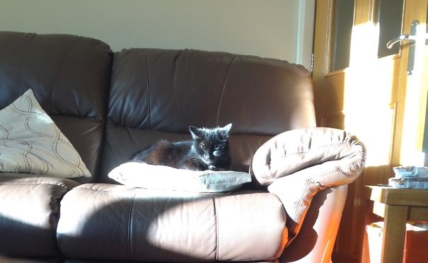 The Princess Cushion