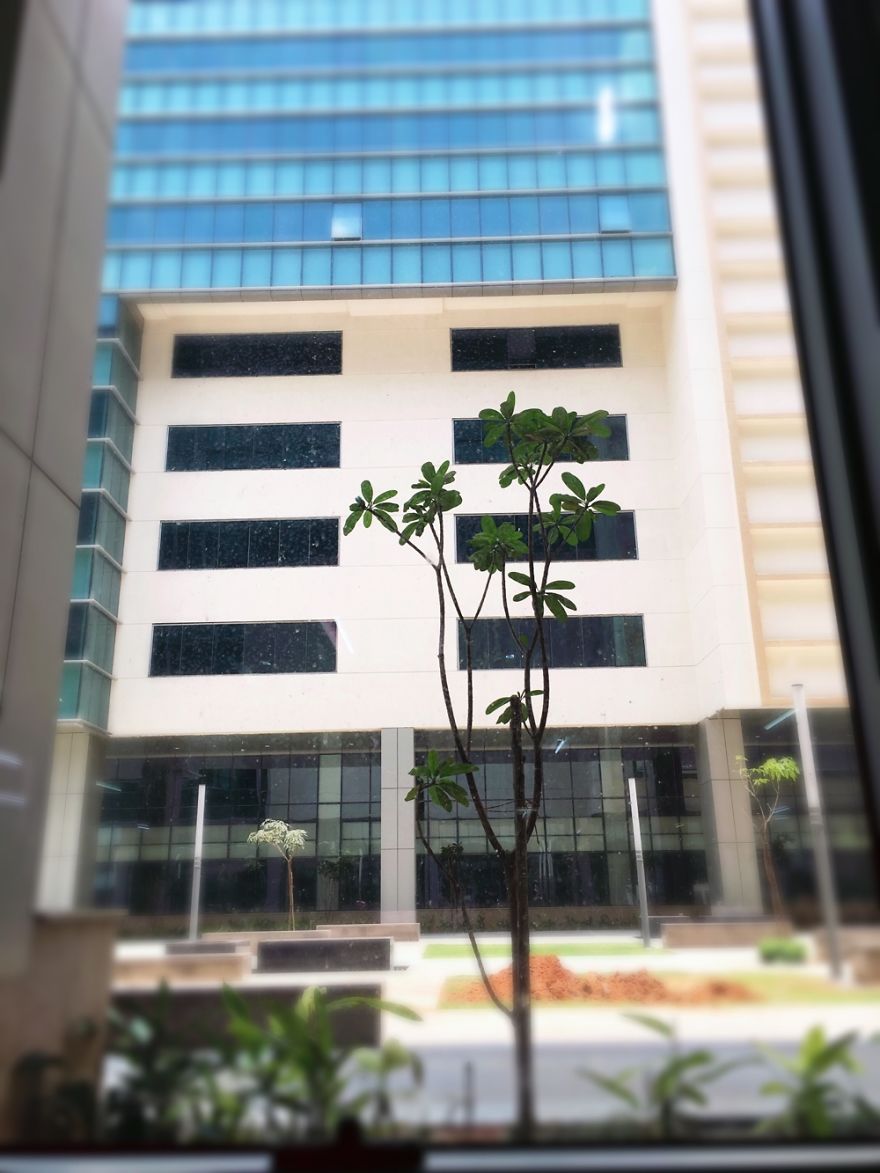 View From My Office, Bangalore India