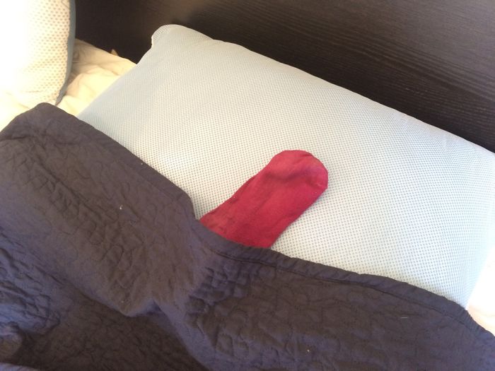 My Girlfriend Left A Sock At My House To Mark Her Territory, So I Started This Photo Series My Girlfriend Left A Sock At My House To Mark Her Territory, So I Started This Photo Series