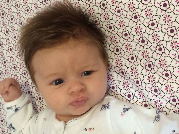 Blue Steel: Violet Nova- 7wks Old