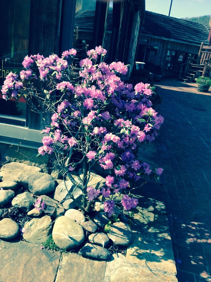 Photographer Takes Photos Traveling The World