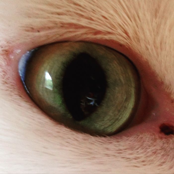 Photographer Takes Photos Traveling The World