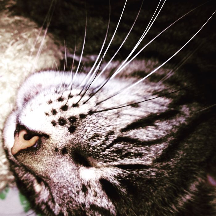 Photographer Takes Photos Traveling The World