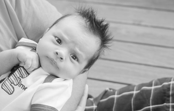 Spikes Mgee... 3 Weeks Old