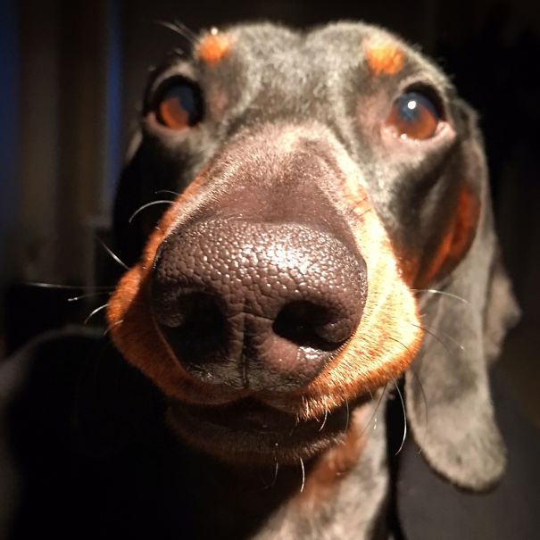 He Always Has This Sneaky Smile