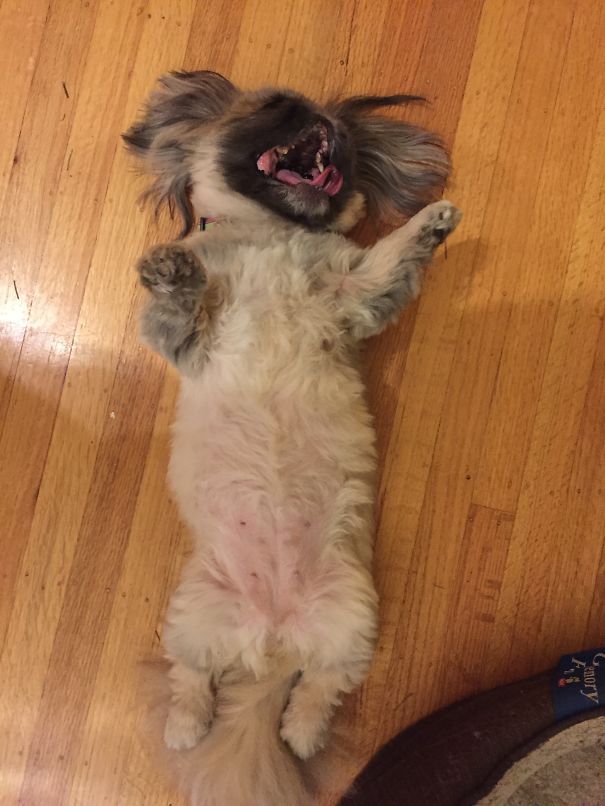 Belly Rub Smile