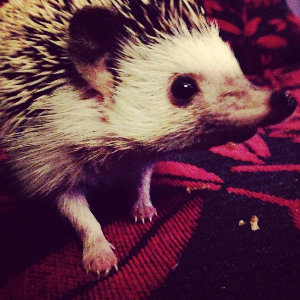 That's A Smile Right?