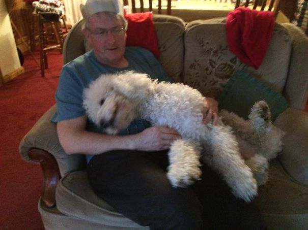 Christmas Is Brilliant