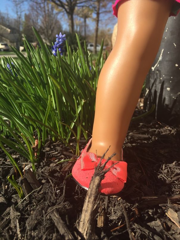 I Took This Picture Of My American Girl Doll. Tell Me What You Think!