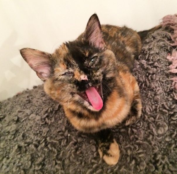 What's Uuuuup?! @thekitlet