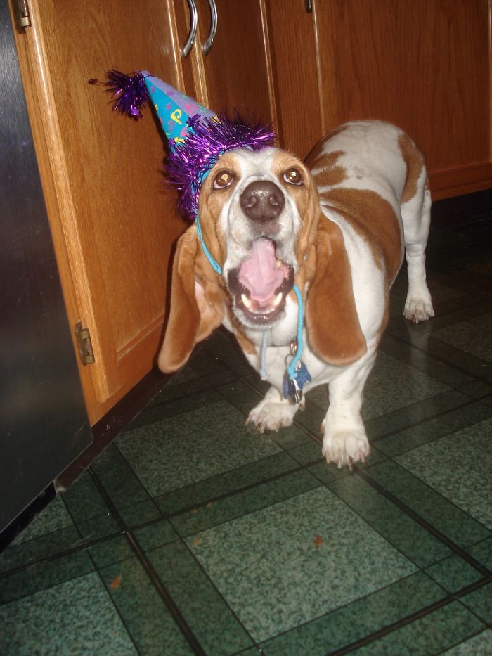 Ruby Singing "happy Birthday" To Herself!