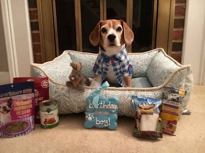 Duncan Celebrating His 10th Birthday With All His Presents..