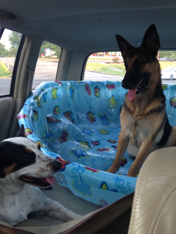 Yay!!! Baby Pool On Its Way Home!!!