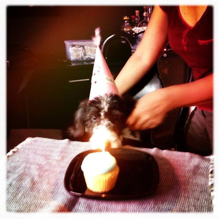 Ooohh Light.... Pretty...