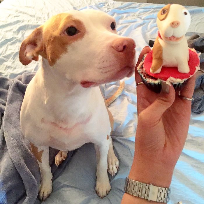 Gummy The Pitt Says She Wants To Eat Herself!