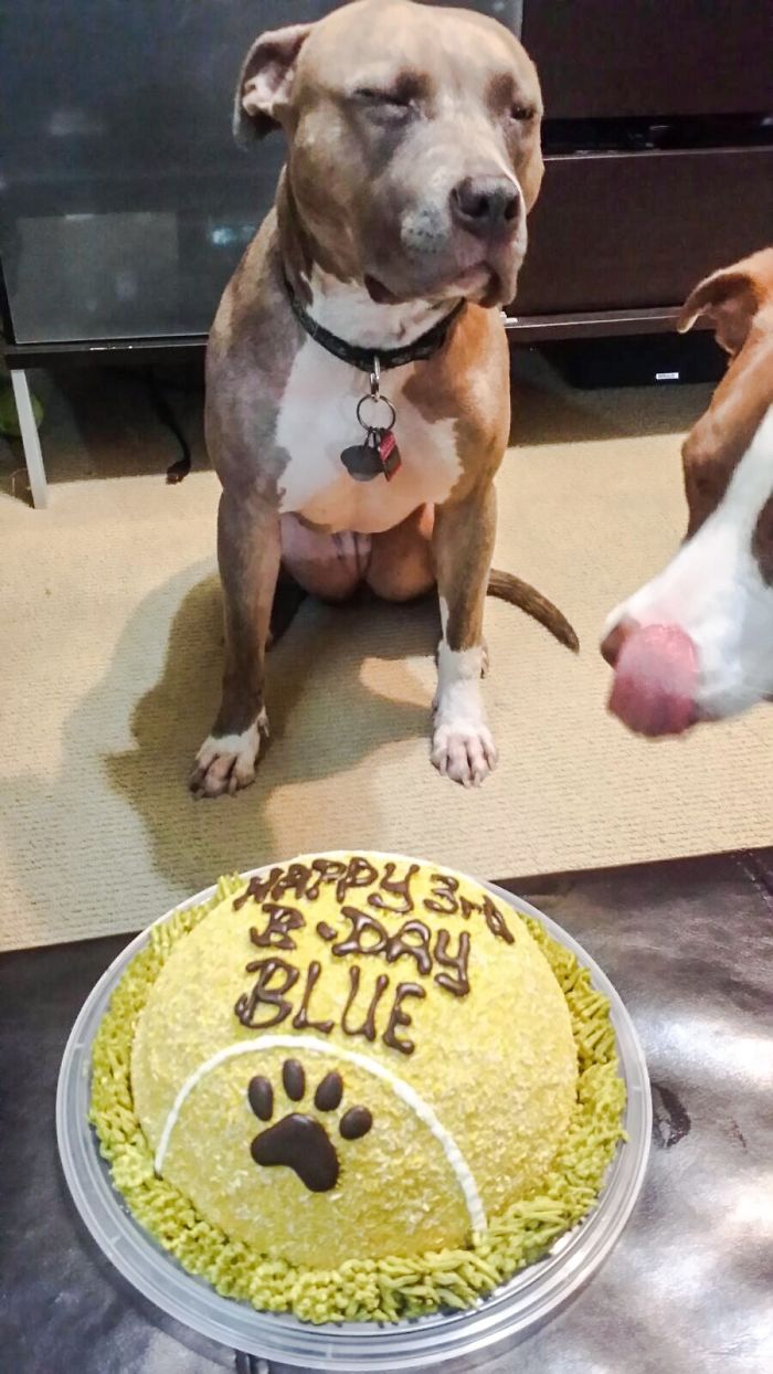 Hurry Up! Make A Wish!