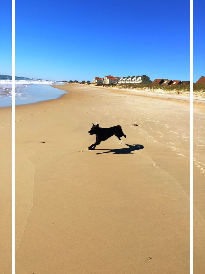 12 Yr. Old Self-taught Photographer 12 Yr. Old Self-taught Photographer