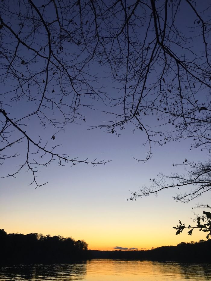 12 Yr. Old Self-taught Photographer 12 Yr. Old Self-taught Photographer