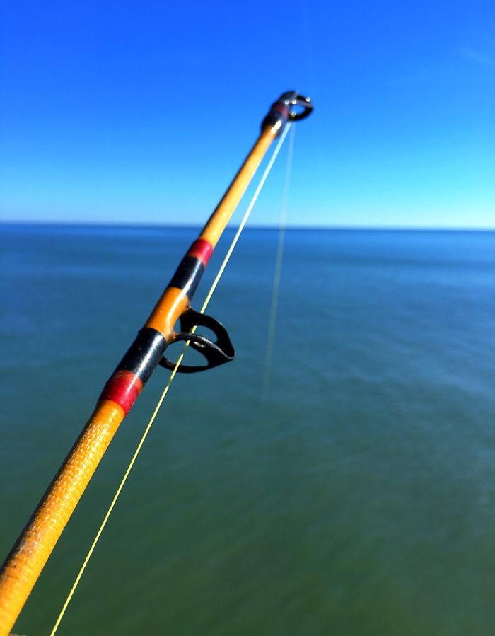 12 Yr. Old Self-taught Photographer 12 Yr. Old Self-taught Photographer