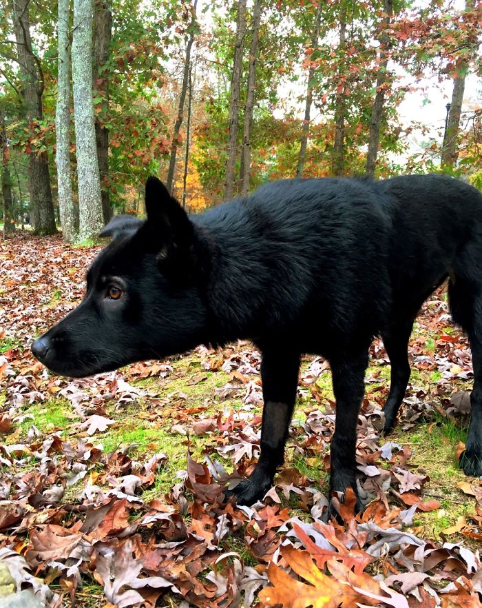 12 Yr. Old Self-taught Photographer 12 Yr. Old Self-taught Photographer