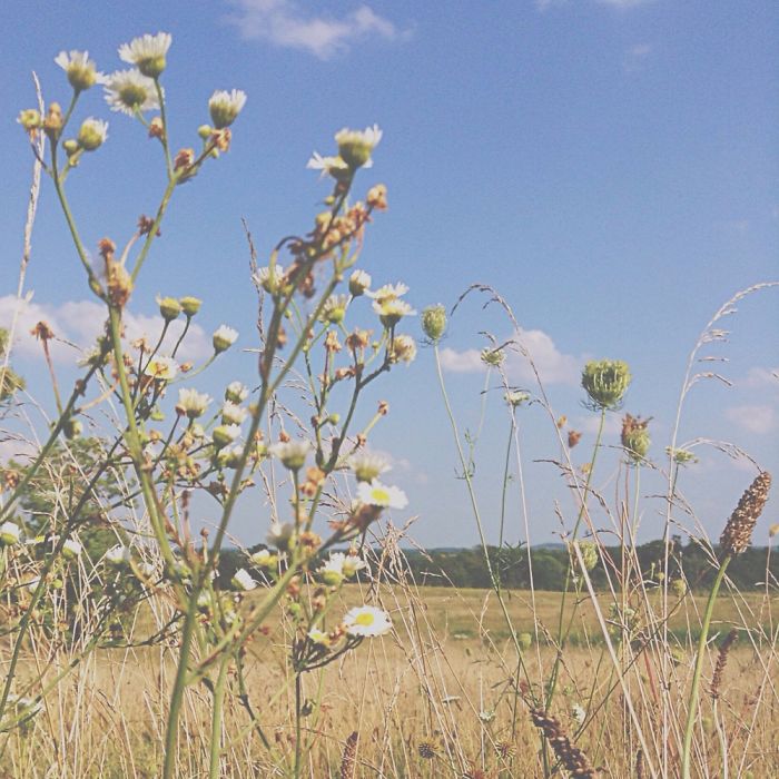 12 Yr. Old Self-taught Photographer 12 Yr. Old Self-taught Photographer