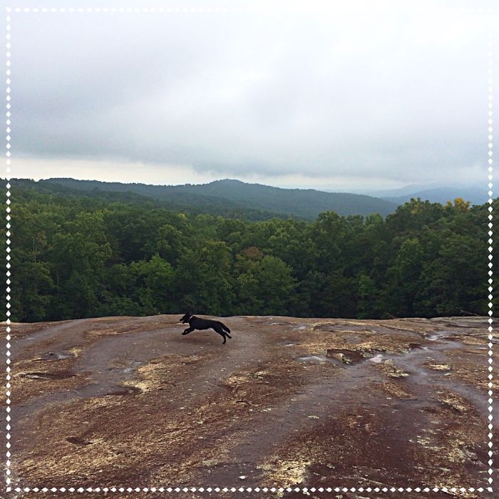 12 Yr. Old Self-taught Photographer 12 Yr. Old Self-taught Photographer