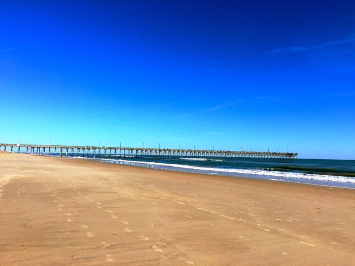 12 Yr. Old Self-taught Photographer 12 Yr. Old Self-taught Photographer