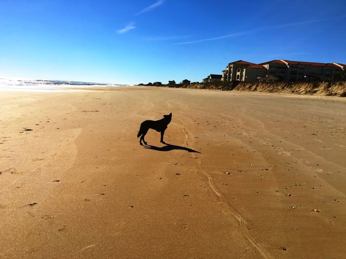 12 Yr. Old Self-taught Photographer 12 Yr. Old Self-taught Photographer