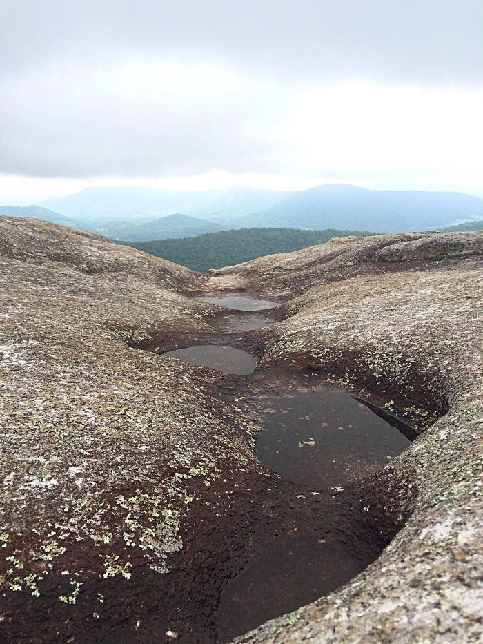 12 Yr. Old Self-taught Photographer 12 Yr. Old Self-taught Photographer