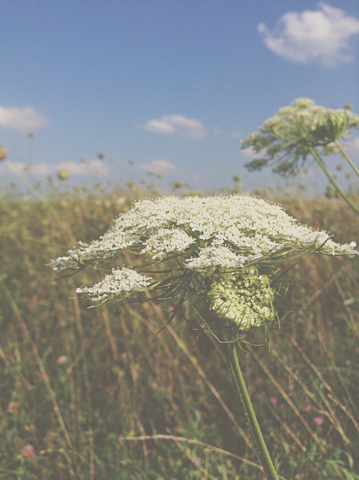 12 Yr. Old Self-taught Photographer 12 Yr. Old Self-taught Photographer