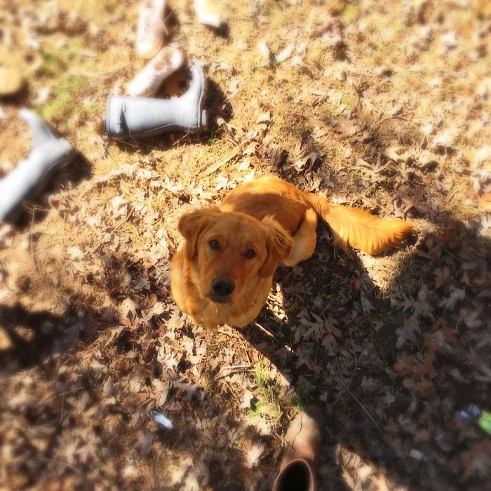 12 Yr. Old Self-taught Photographer 12 Yr. Old Self-taught Photographer