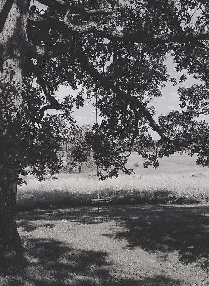 12 Yr. Old Self-taught Photographer 12 Yr. Old Self-taught Photographer