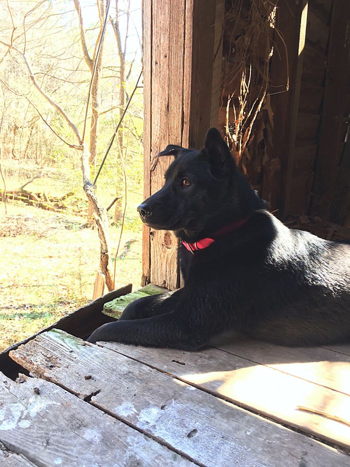 12 Yr. Old Self-taught Photographer 12 Yr. Old Self-taught Photographer