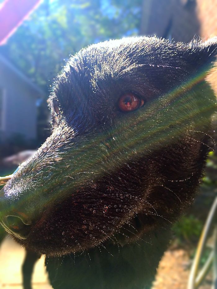 12 Yr. Old Self-taught Photographer 12 Yr. Old Self-taught Photographer