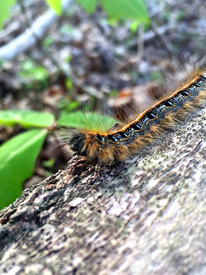 12 Yr. Old Self-taught Photographer 12 Yr. Old Self-taught Photographer