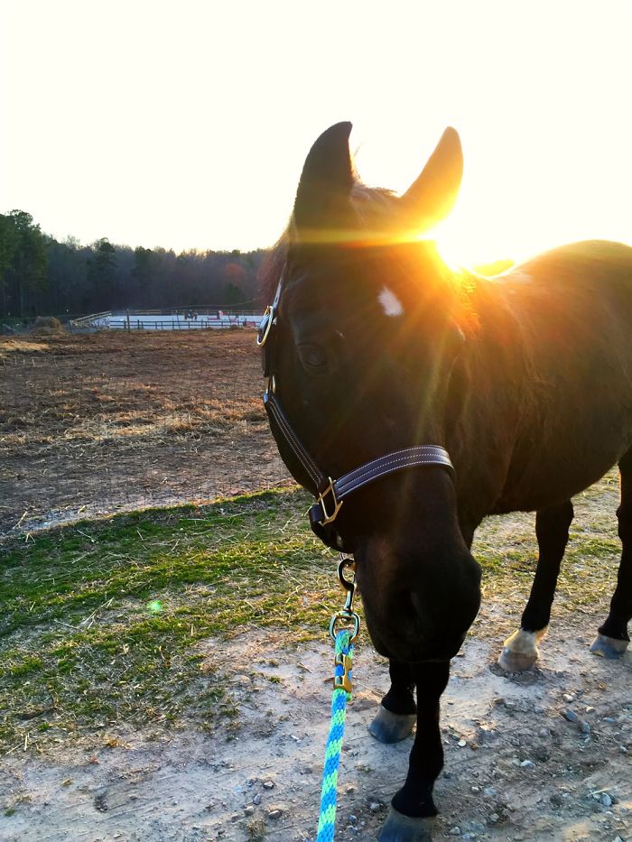 12 Yr. Old Self-taught Photographer 12 Yr. Old Self-taught Photographer