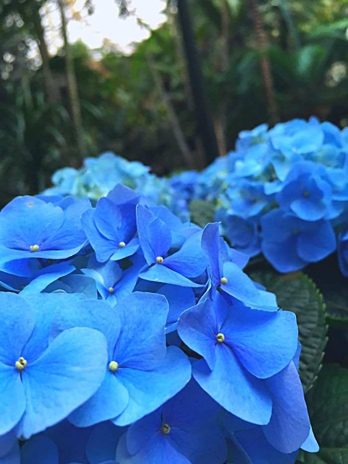 12 Yr. Old Self-taught Photographer 12 Yr. Old Self-taught Photographer