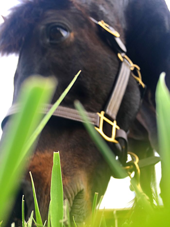 12 Yr. Old Self-taught Photographer 12 Yr. Old Self-taught Photographer