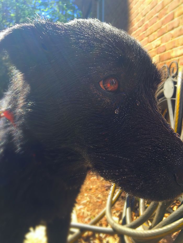 12 Yr. Old Self-taught Photographer 12 Yr. Old Self-taught Photographer