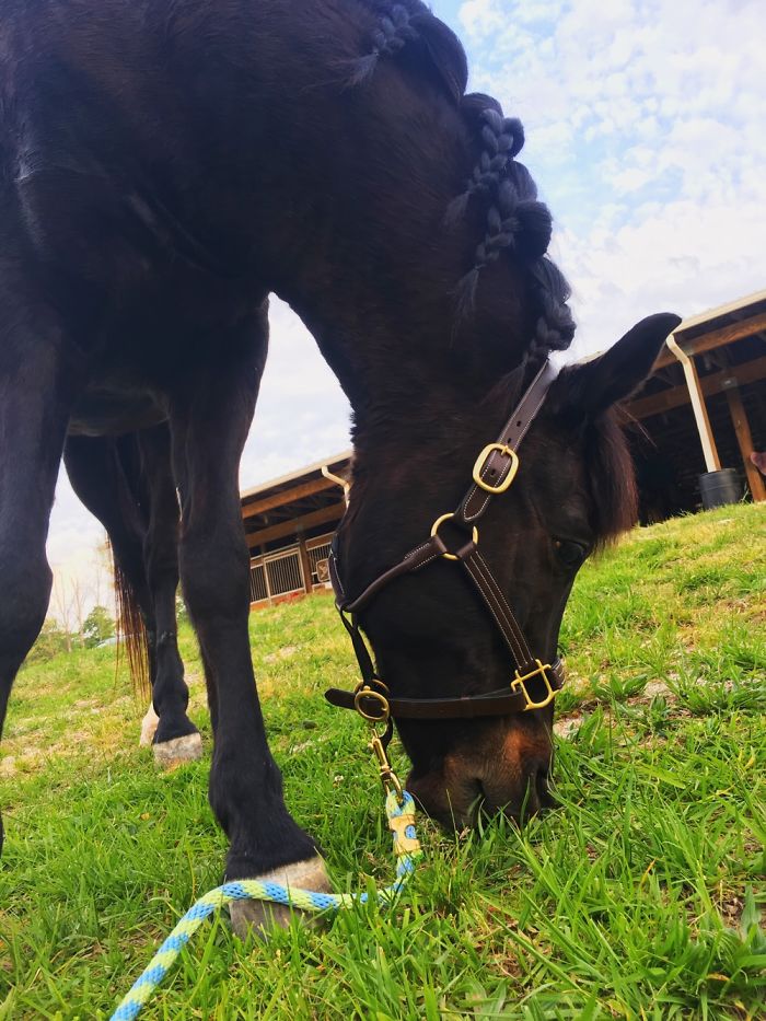 12 Yr. Old Self-taught Photographer 12 Yr. Old Self-taught Photographer