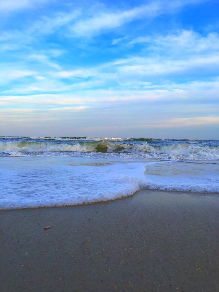 12 Yr. Old Self-taught Photographer 12 Yr. Old Self-taught Photographer