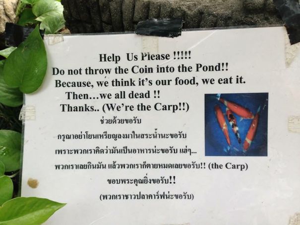 We're The Carp