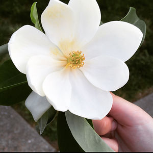 kristenwright avatar