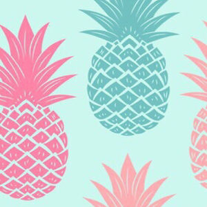 braceroisabels avatar