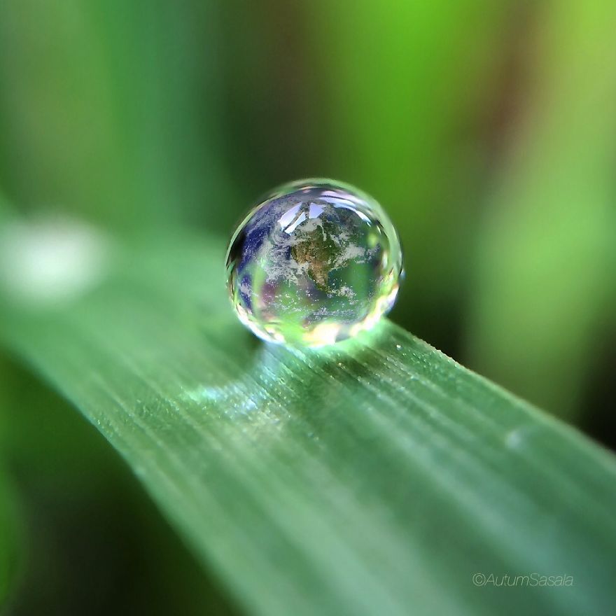 Without Water, We Have No Earth